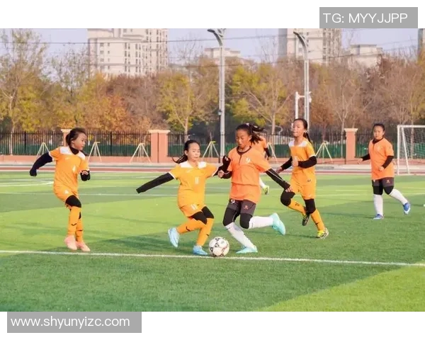 聚焦足球星志展现绿茵英雄风采书写传奇荣耀与激情岁月